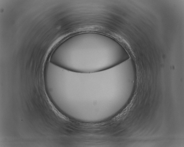 X0000073420792200608251549