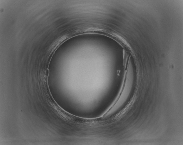 X0000073420793200608251549