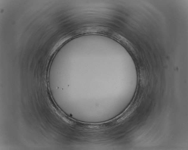 X0000073420794200608251549