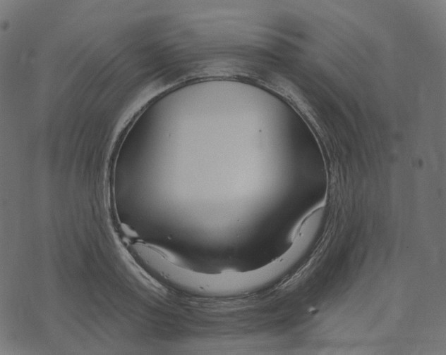 X0000073420795200608251549