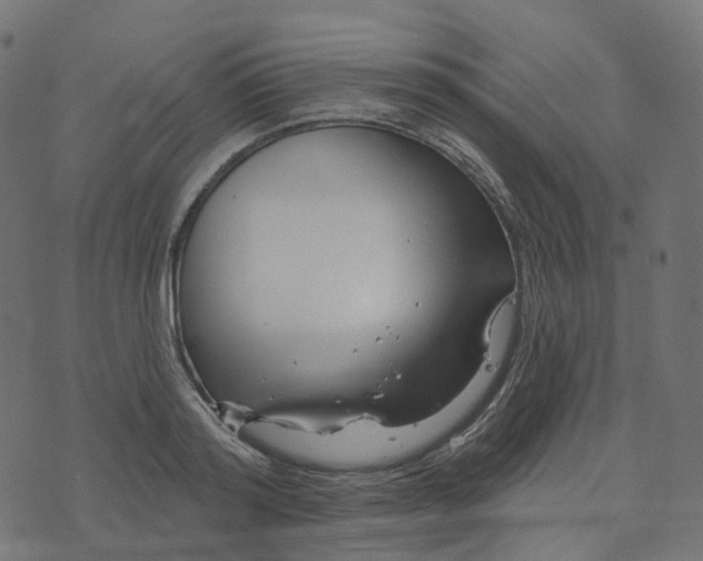 X0000073420796200608251549