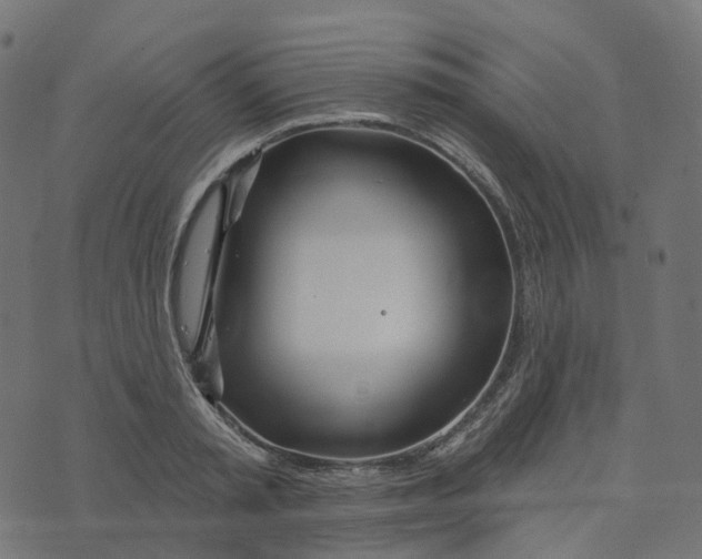 X0000073420797200608251549