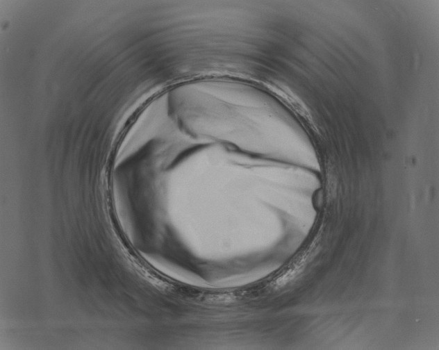 X0000073420798200608251549