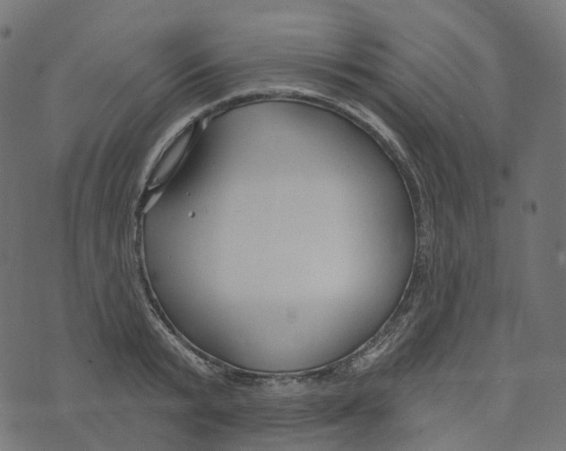 X0000073420799200608251549