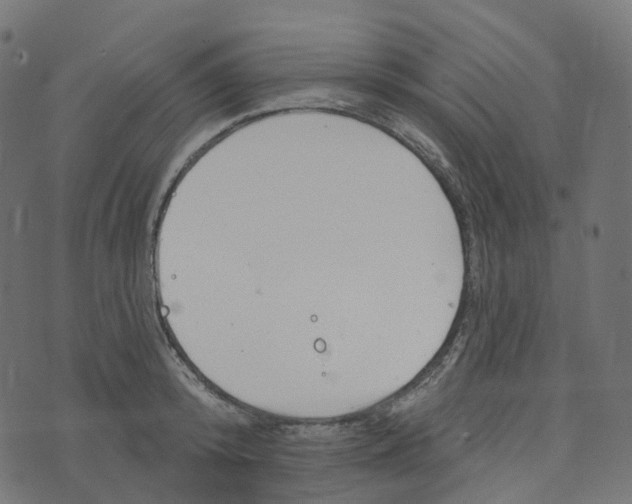 X0000073420800200608251549