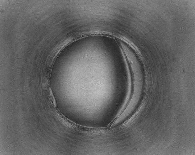 X0000073420801200608251549