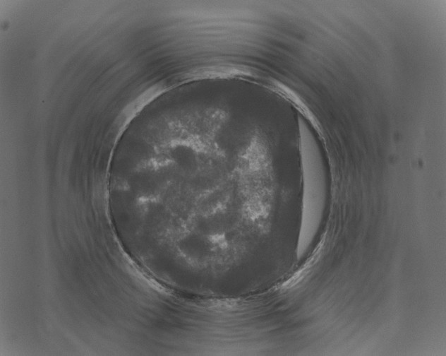 X0000073420802200608251548