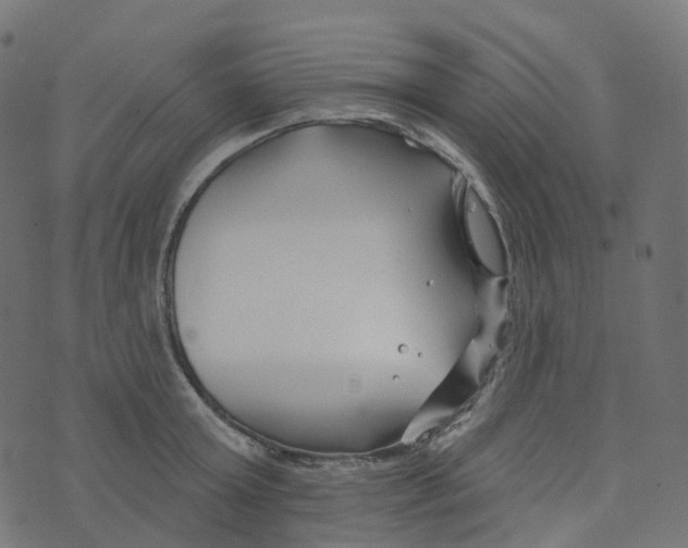 X0000073420803200608251548