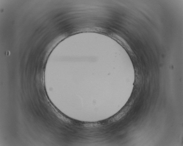 X0000073420804200608251548