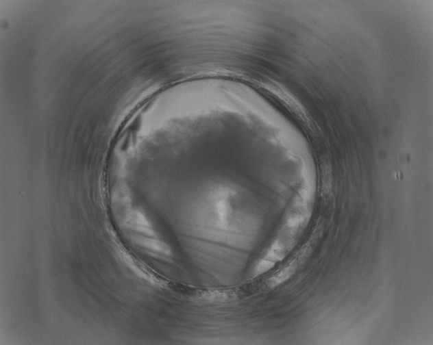 X0000073420806200608251548