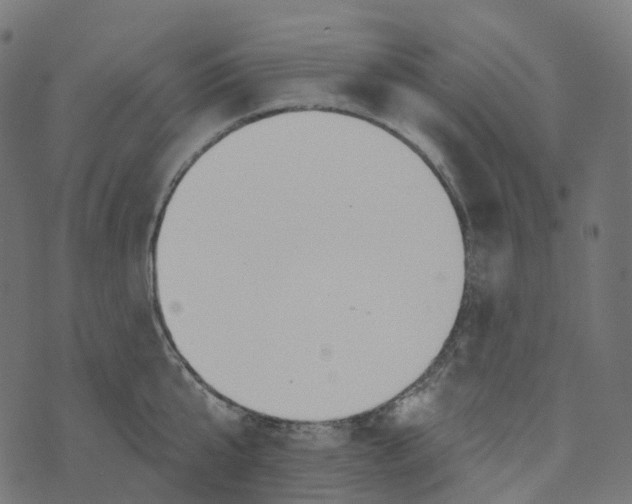 X0000073420807200608251548