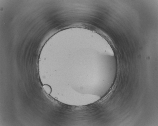 X0000073420808200608251548