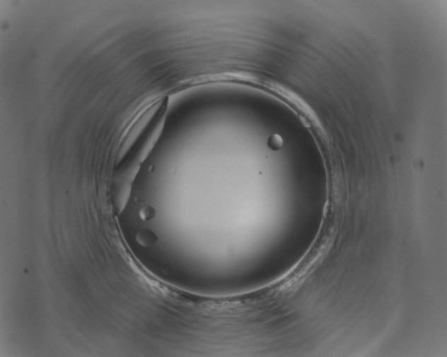 X0000073420809200608251548