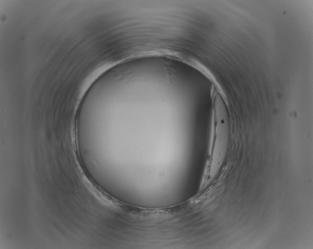 X0000073420811200608251548