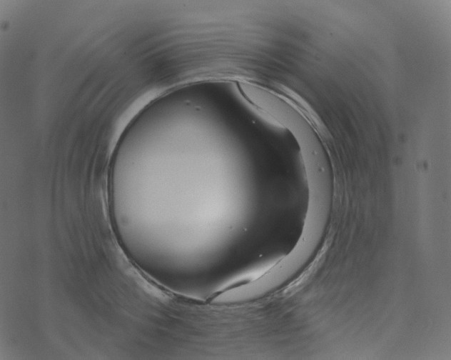 X0000073420812200608251548