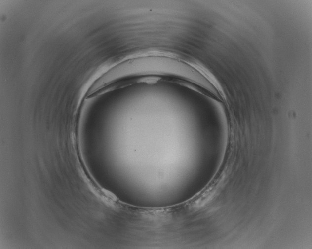 X0000073420813200608251548