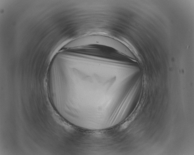 X0000073420814200608251548