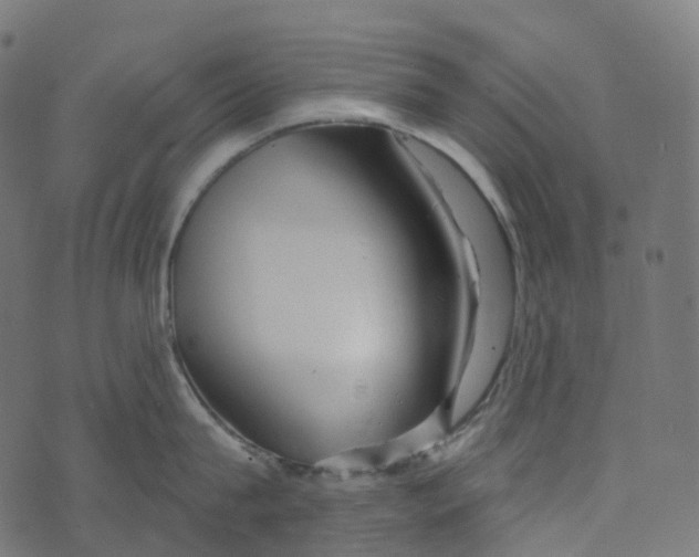 X0000073420815200608251548