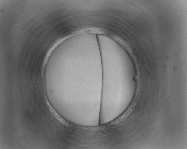 X0000073420816200608251548