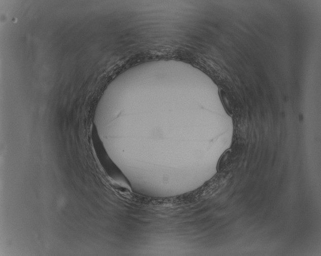 X0000073420817200608251547