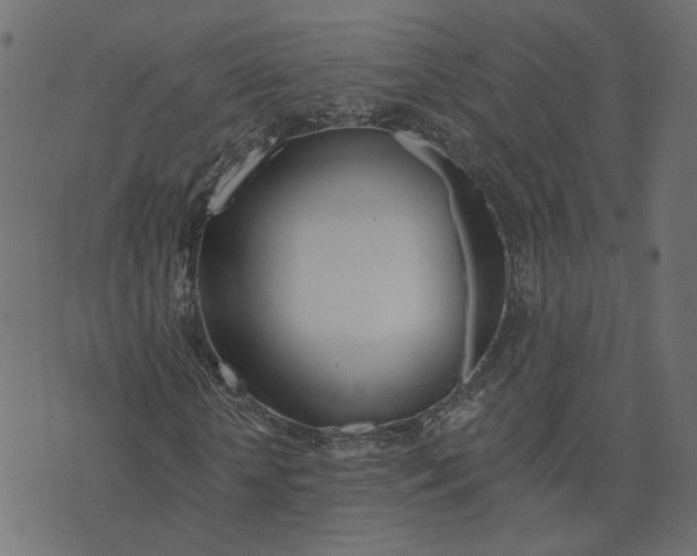 X0000073420818200608251547