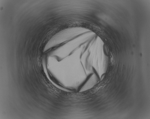 X0000073420819200608251548