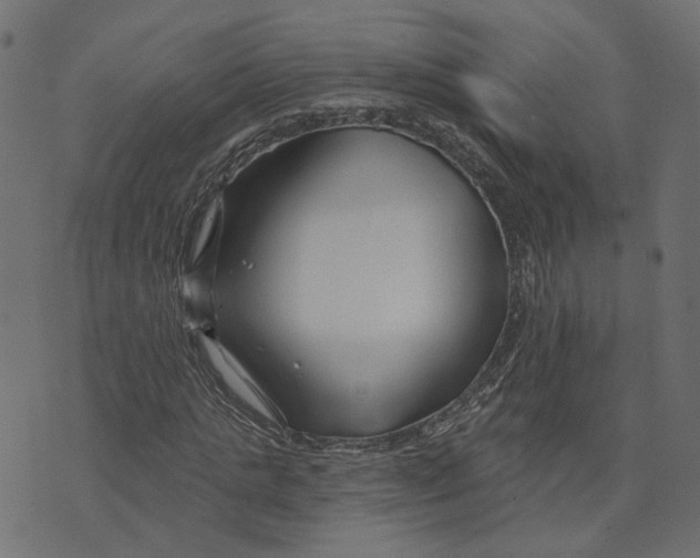 X0000073420821200608251548