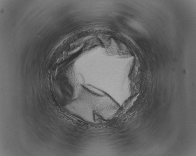 X0000073420823200608251548