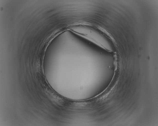 X0000073420825200608251548