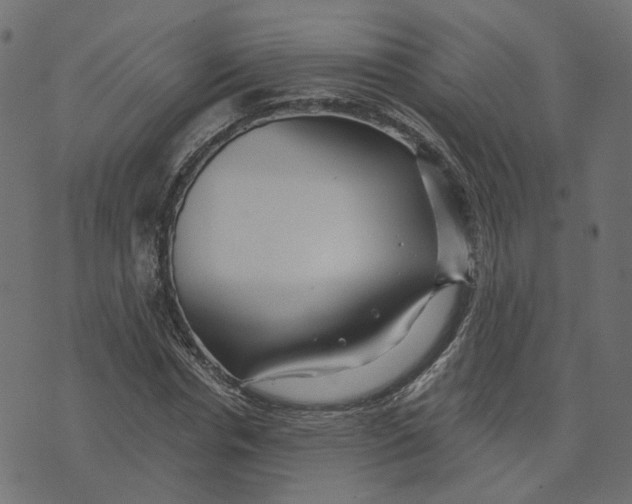 X0000073420826200608251548