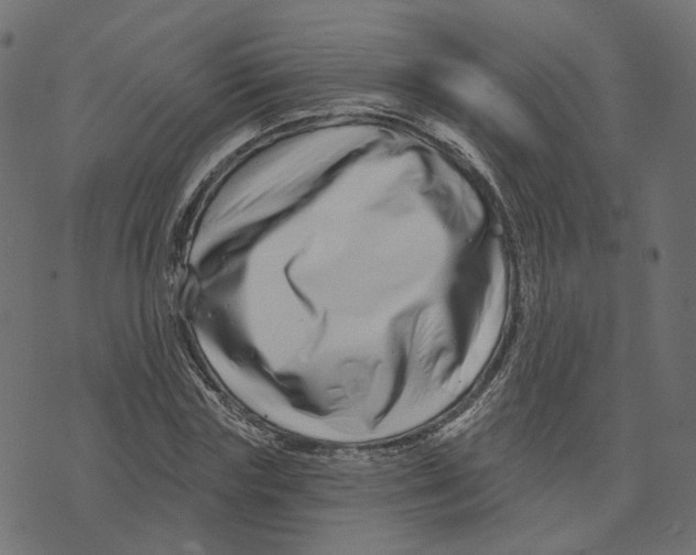 X0000073420827200608251548