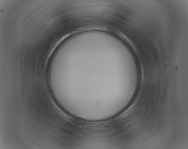 X0000073420828200608251548