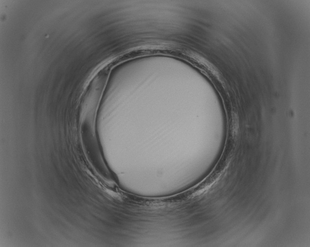 X0000073420829200608251548