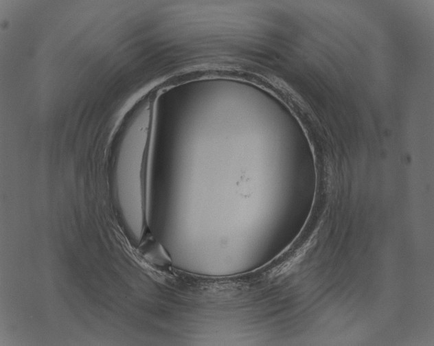 X0000073420830200608251548