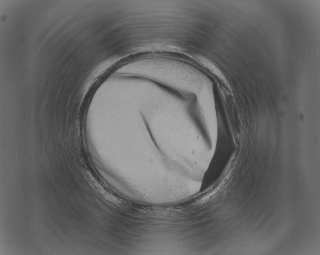 X0000073420831200608251548