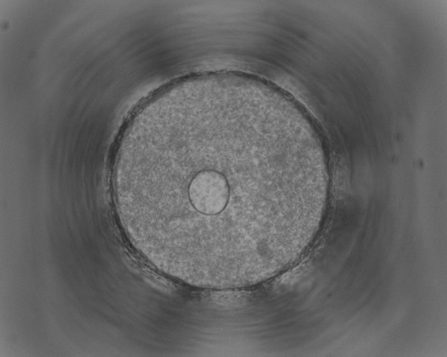 X0000073420832200608251548