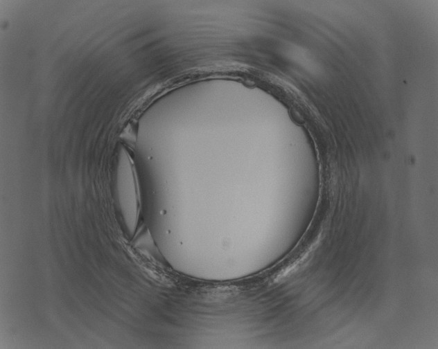 X0000073420833200608251548