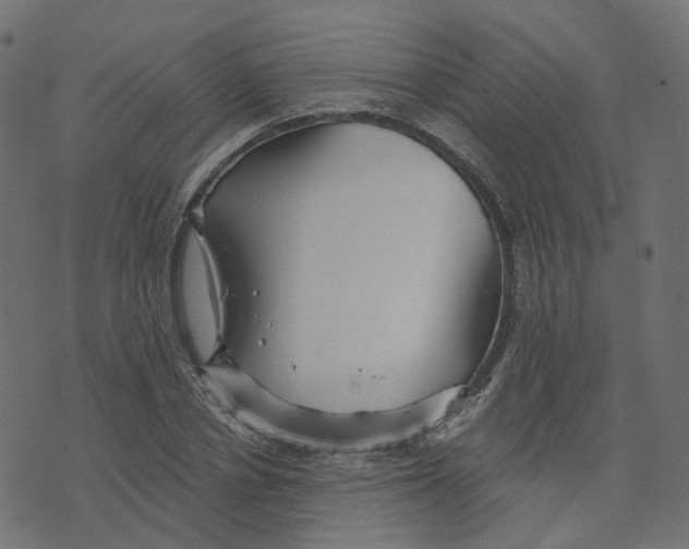 X0000073420834200608251548