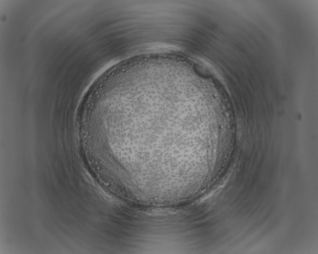 X0000073420835200608251548