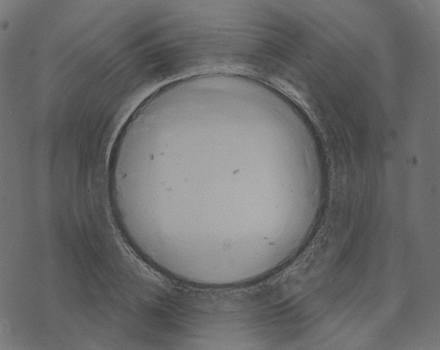 X0000073420836200608251548