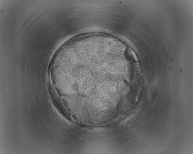 X0000073420839200608251548