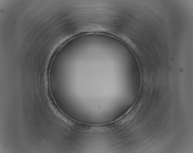 X0000073420840200608251548