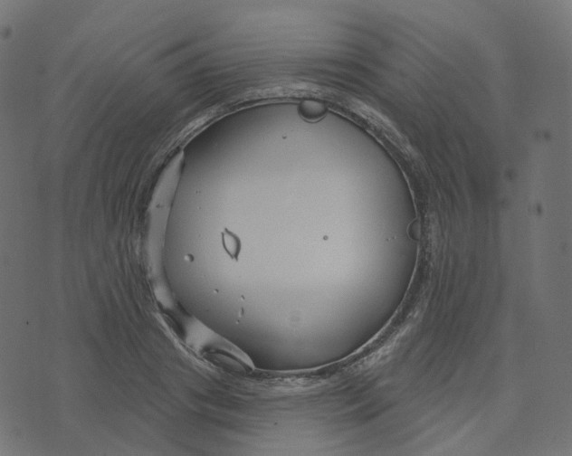 X0000073420841200608251548