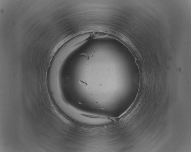 X0000073420842200608251548