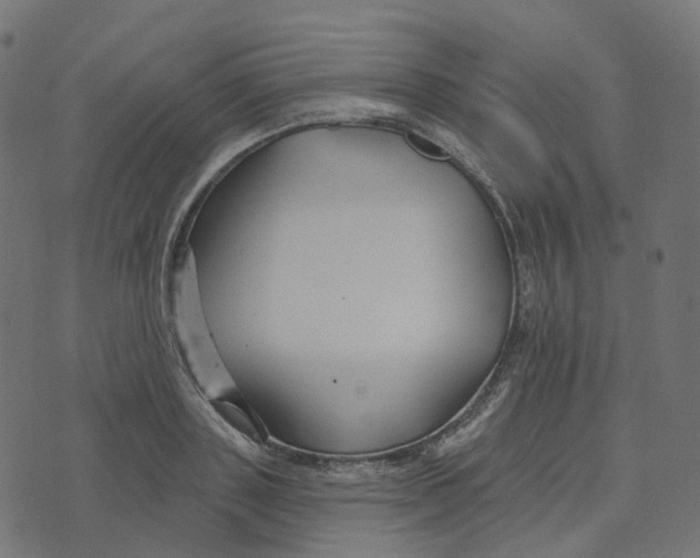 X0000073420843200608251548