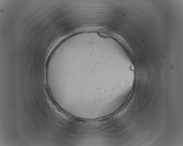 X0000073420844200608251548