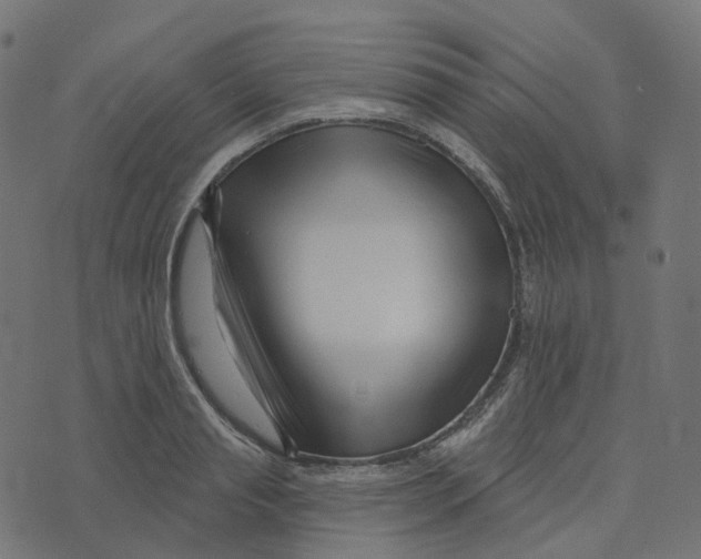 X0000073420845200608251548