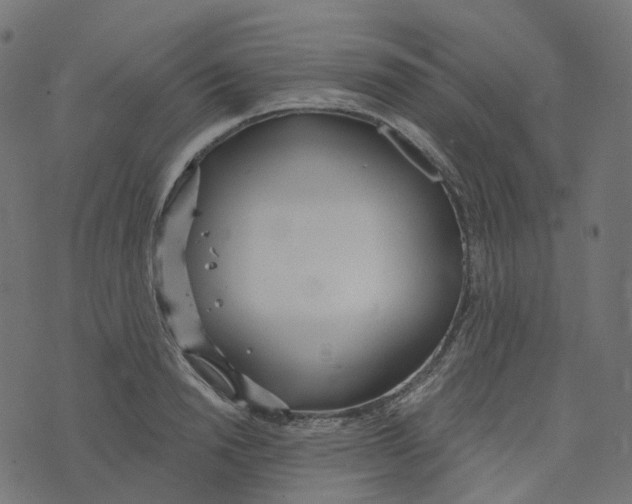 X0000073420846200608251548