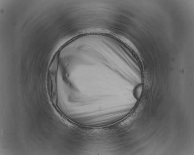 X0000073420847200608251548