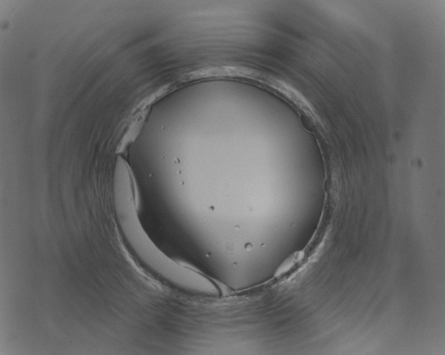 X0000073420849200608251548